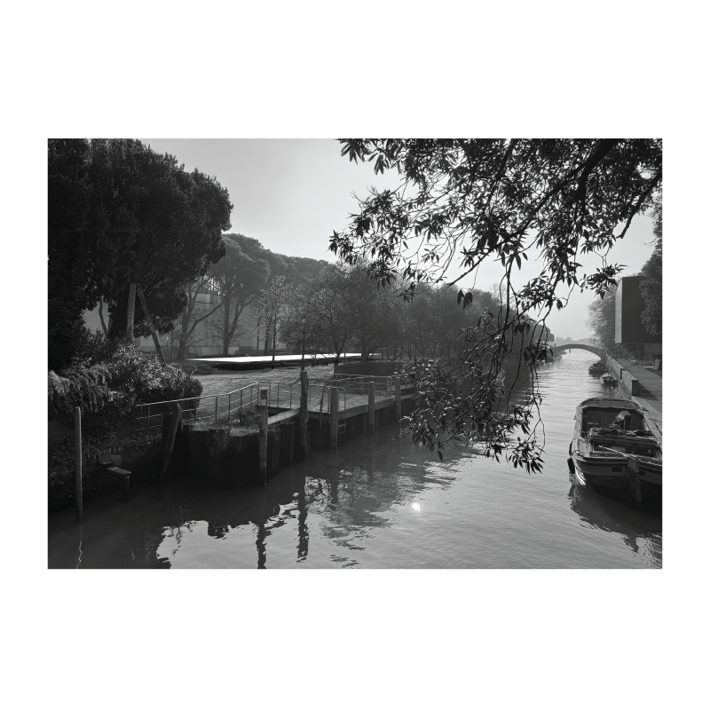 Installation in Venice approach view